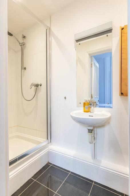 Ferienwohnung Victorian Flat Close To Station With Large Garden Hove Exterior foto